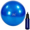 【タイムセール】ALINCO(アルインコ) バランスボール 65cm エアーポンプ付 EXG025A ブルーが激安特価！