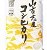 【急げ！】新潟県山古志産 白米 コシヒカリ 5kg 平成29年産が激安特価！
