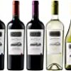 【タイムセール】世界で高評価&メダル受賞ワイナリーのチリ赤&白ワイン至極の飲み比べ5本セット(赤750mlx3、白750mlx2) [チリ/Amazon.co.jp限定/Winery Direct]が激安特価！