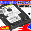 WESTERN DIGITAL HDD 3.5インチ 250GB 499円！！