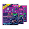 【8時】[48袋]アサヒ 濃ーいブルーベリーEX 93g 1,999円【送料無料】